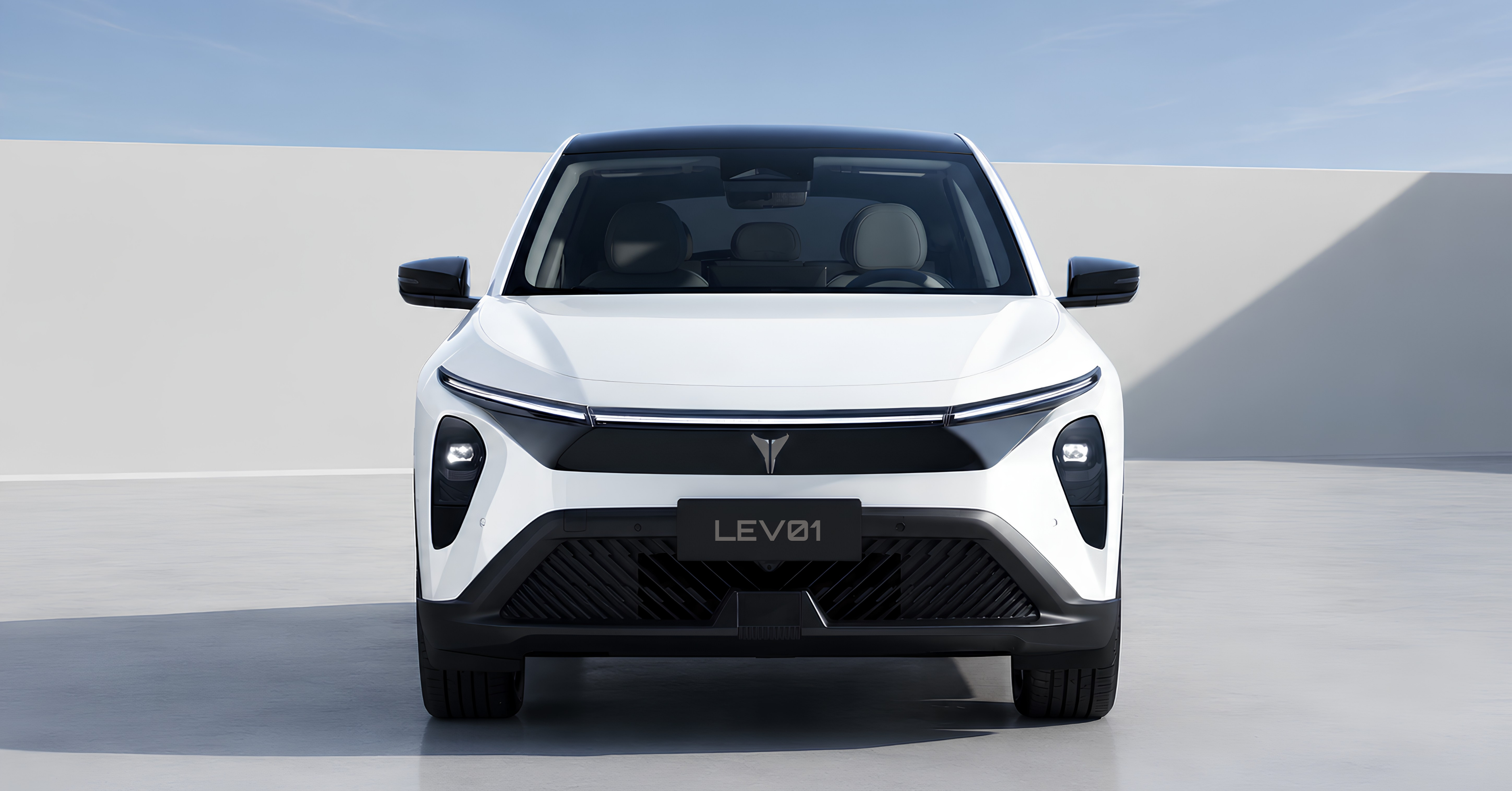 LS Auto LEV01